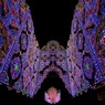 復興へのbutterfly
