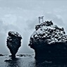 鳥居の上に居る鳥は…