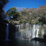 OLD LENS  白糸の滝