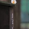 一花