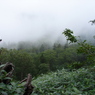 山岳