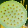 百目小僧