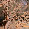 "NANGAN" Low pressure