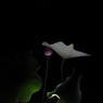 蓮 in the dark。