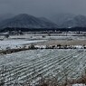 雪が空から降れば
