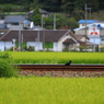 乗り鉄