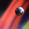 グラスの中のCOSMOS #1