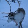 DSCN2916_R_R