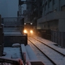 雪の中