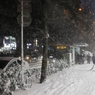にわか雪国