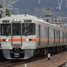 東海道線　313系+211系