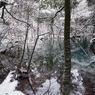 静謐の丸池様-2