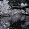 静謐の丸池様-3