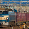 2018.1.27 5094レ EF66 30