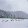 2018.1.30 EF66 30 雪の中を行く56レ福山レールエクスプレス 