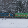 2018.1.30 EF66 30 雪の中を行く56レ福山レールエクスプレス