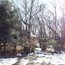 残雪の日本庭園2