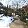 残雪の日本庭園10