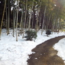 残雪の日本庭園11