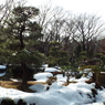 残雪の日本庭園13