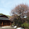 残雪の日本庭園17
