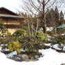 残雪の日本庭園18