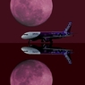 12 Wine Red Night (エアーショー)