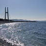 海