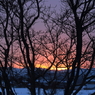 久方の夕日