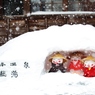 　雪祭り　＊＊＊