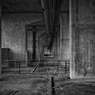 echo