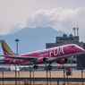 まるちゃんは今日も行く✈︎