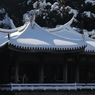 雪化粧 －１