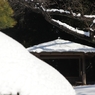 雪化粧 －３