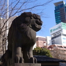 狛犬_金王八幡宮