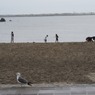 DSC04674