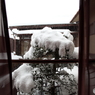 外は雪