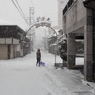 雪の朝