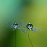 氷上のふたり