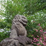 狛犬_中井御霊神社