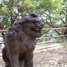 狛犬_諏方神社