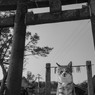 神社でうにゃにゃ