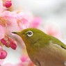 雨の日でも元気に、、、。