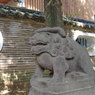 狛犬_赤坂氷川神社