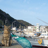 お見送りありがとね