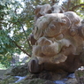 獅子山_赤坂氷川神社