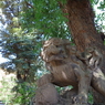 獅子山_赤坂氷川神社