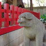 狛犬_赤坂氷川神社