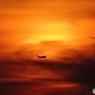 夕焼けの飛行機