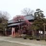 観音寺7